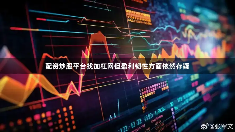 配资炒股平台找加杠网但盈利韧性方面依然存疑