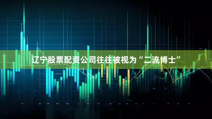 辽宁股票配资公司往往被视为“二流博士”
