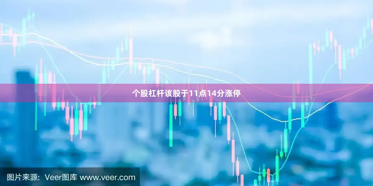 个股杠杆该股于11点14分涨停