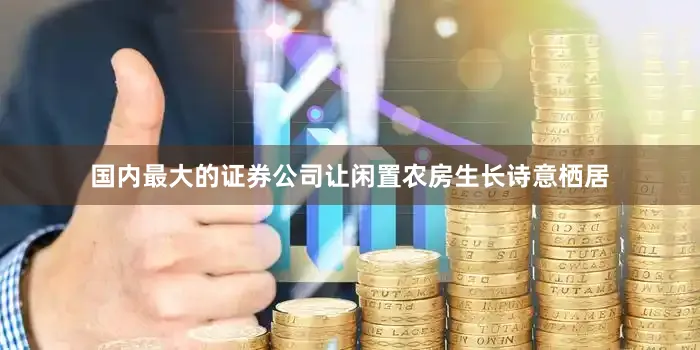 国内最大的证券公司让闲置农房生长诗意栖居