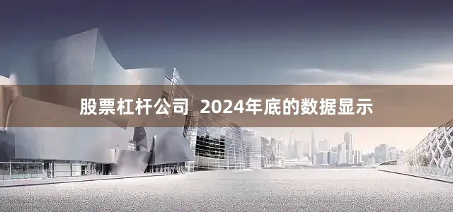 股票杠杆公司  2024年底的数据显示