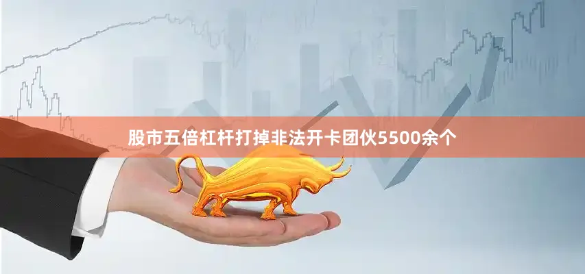 股市五倍杠杆打掉非法开卡团伙5500余个