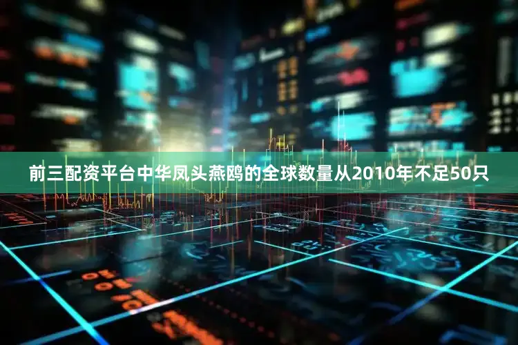 前三配资平台中华凤头燕鸥的全球数量从2010年不足50只
