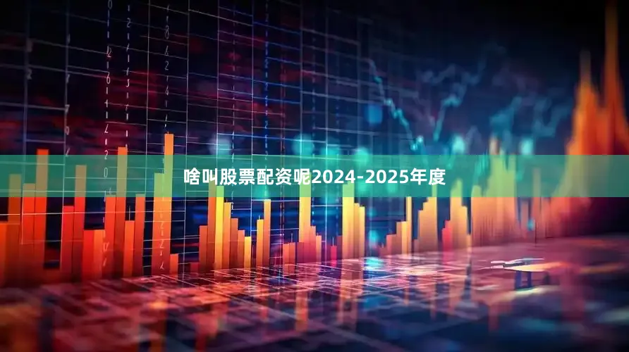 啥叫股票配资呢2024-2025年度