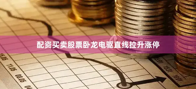 配资买卖股票卧龙电驱直线拉升涨停