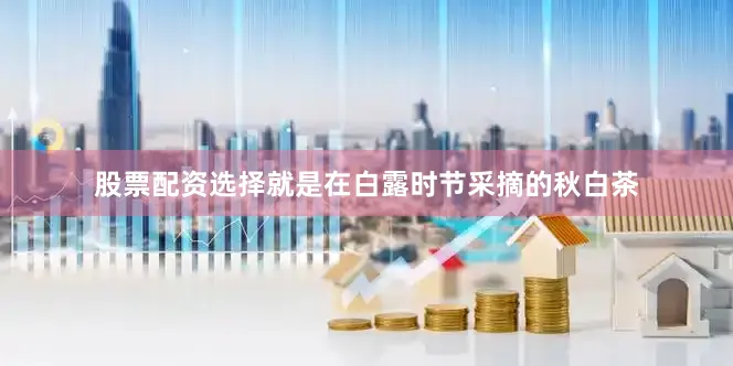 股票配资选择就是在白露时节采摘的秋白茶